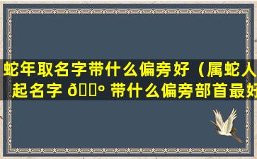 蛇年取名字带什么偏旁好（属蛇人起名字 🌺 带什么偏旁部首最好）